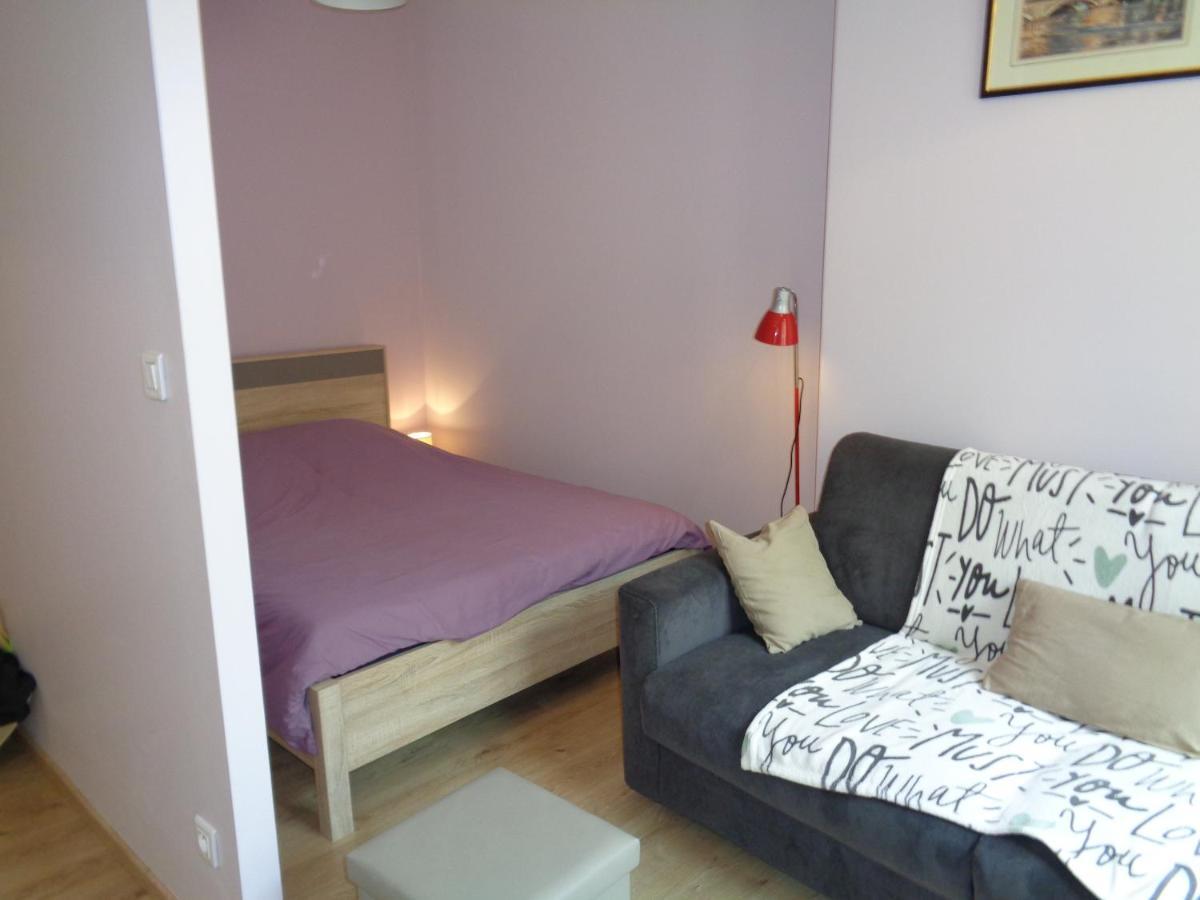 Au Puy Saint Jacques Appartement Le Puy-en-Velay Buitenkant foto